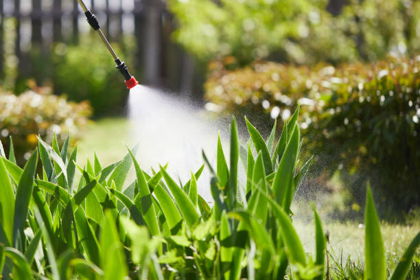 24/7 Emergency Mosquito Control experts in Hoxie, KS